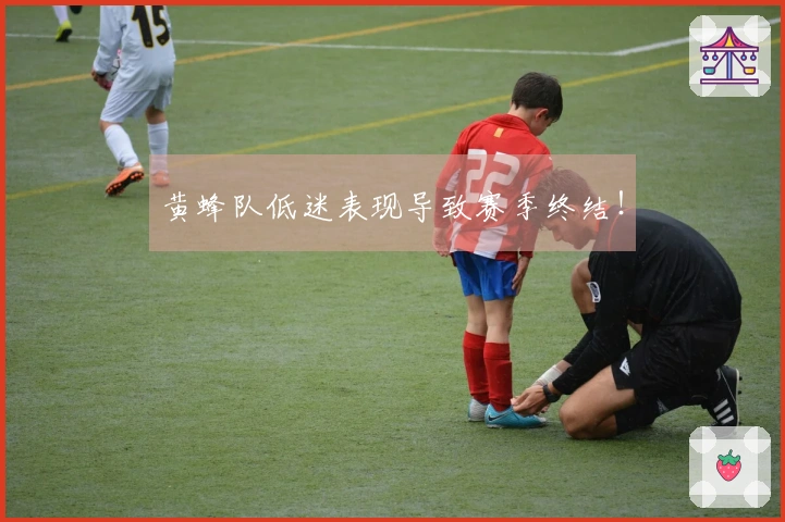 黄蜂队低迷表现导致赛季终结！
